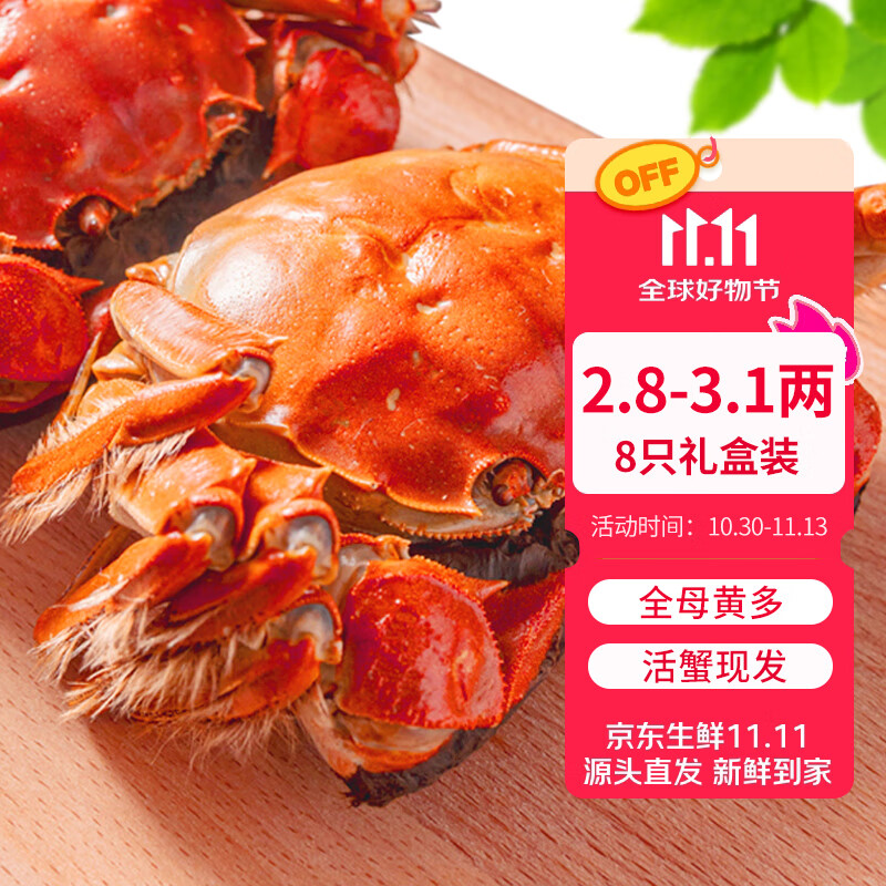 【活蟹】乾澄大闸蟹现货 全母蟹2.8-3.1两8只 鲜活螃蟹去绳足重海鲜河蟹礼盒源头直发