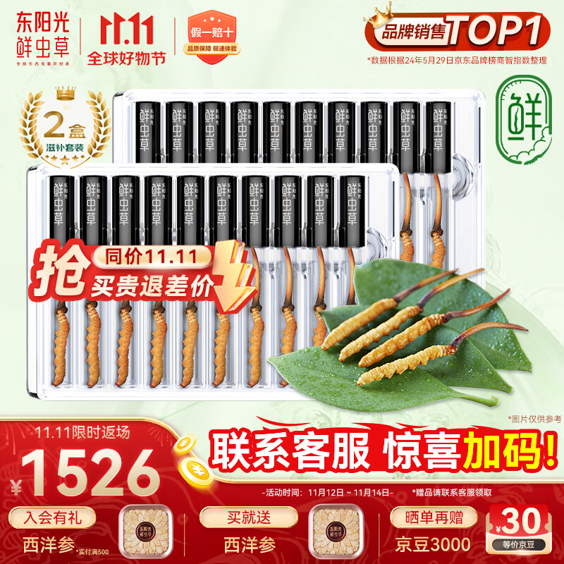 东阳光鲜虫草0.4-0.6g/根20根新鲜冬虫夏草补品送长辈老人源头直发包邮