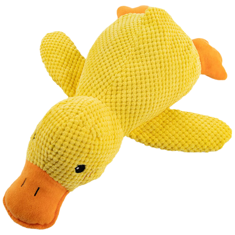 ���˺� �������ë����ż����С��Ѽ С����Ȯ��ҧĥ���޹�����10.09Ԫ ��3������