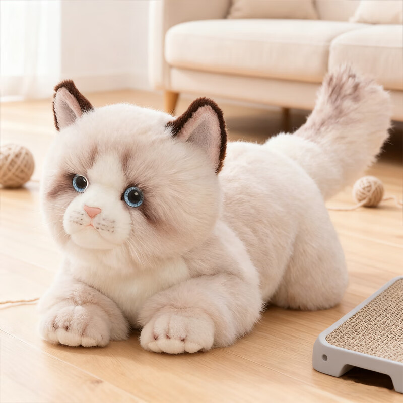 科迈特布偶猫毛绒玩具公仔猫咪玩偶娃娃摆件礼物女孩生日送女朋友