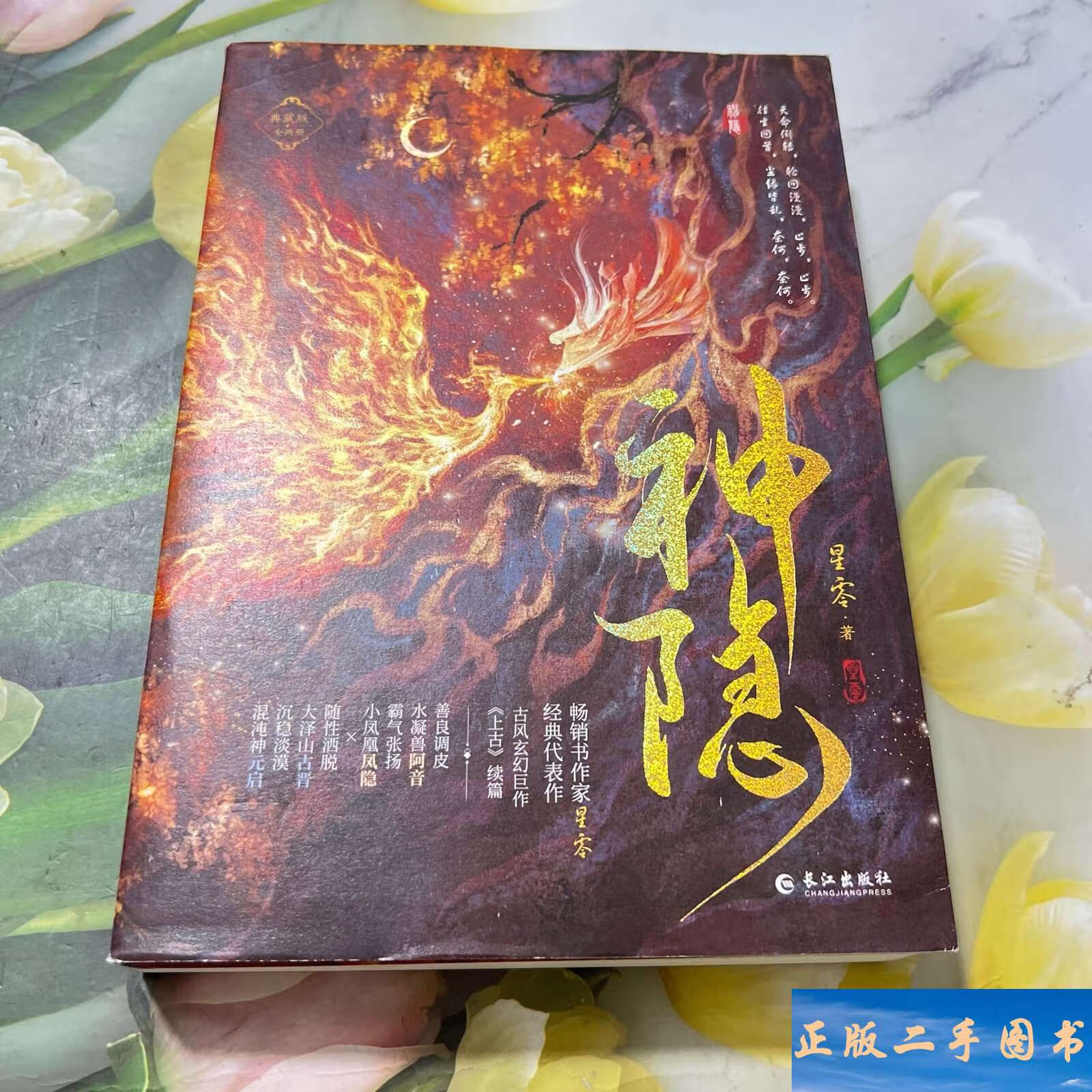 神隐:典藏版 /星零 长江