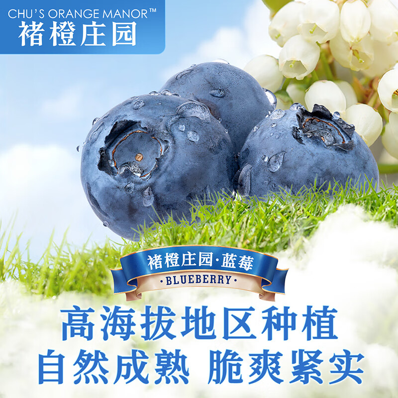 褚橙庄园花香蓝莓大果超大果礼盒装时令生鲜孕妇宝宝辅食新鲜水果礼物送礼 【品质甄选】超大果18mm+5杯礼盒