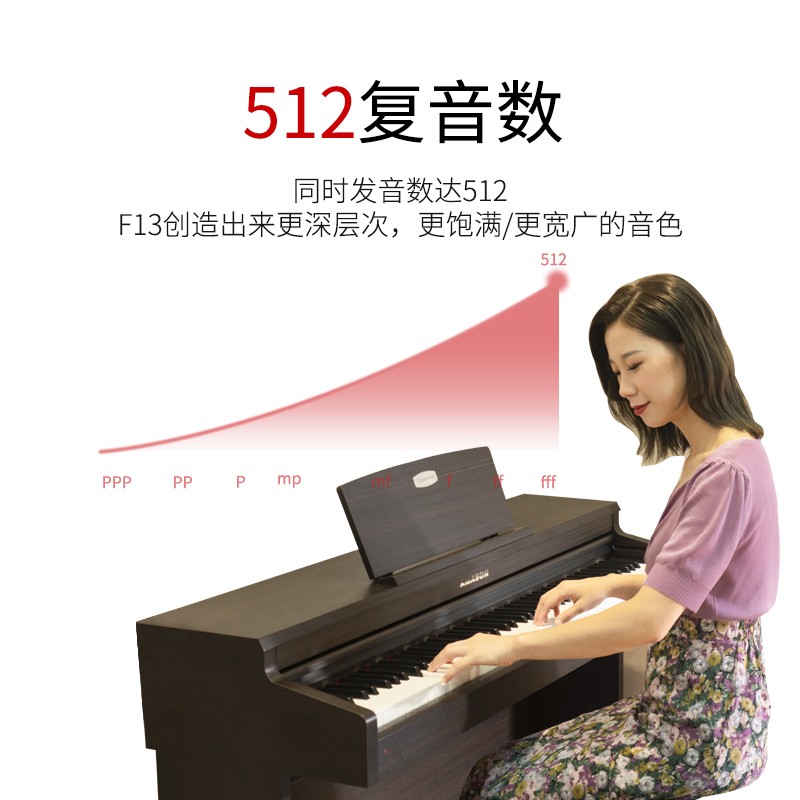 艾茉森（Amason）珠江钢琴 考级电钢琴88键重锤数码电子钢琴高端手感F13