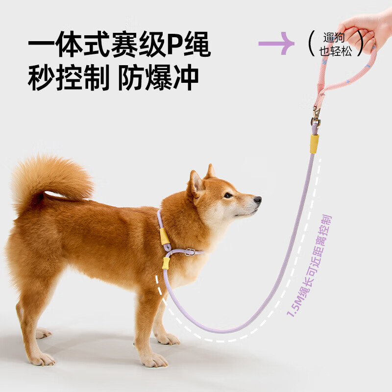 加仕高宠物P链XL号 狗狗牵引绳狗绳狗链项圈中型犬狗狗外出遛训犬狗带