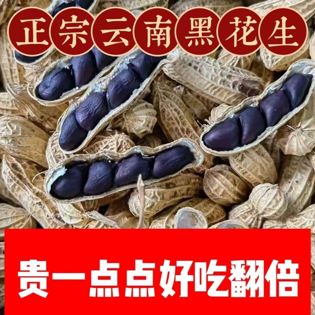 超底价】黑花生农家新货带壳花生花生米原味紫皮新鲜晒干黑皮批发 带壳黑花生+优选农家自种+地道口感 4斤