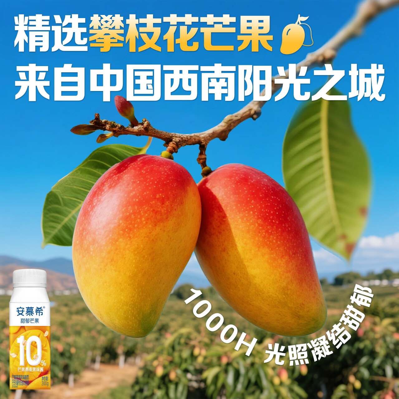 伊利安慕希芒果燕麦风味酸奶200g*10整箱常温牛奶乳品营养早餐礼盒装 芒果燕麦200gx10盒x1箱8月产