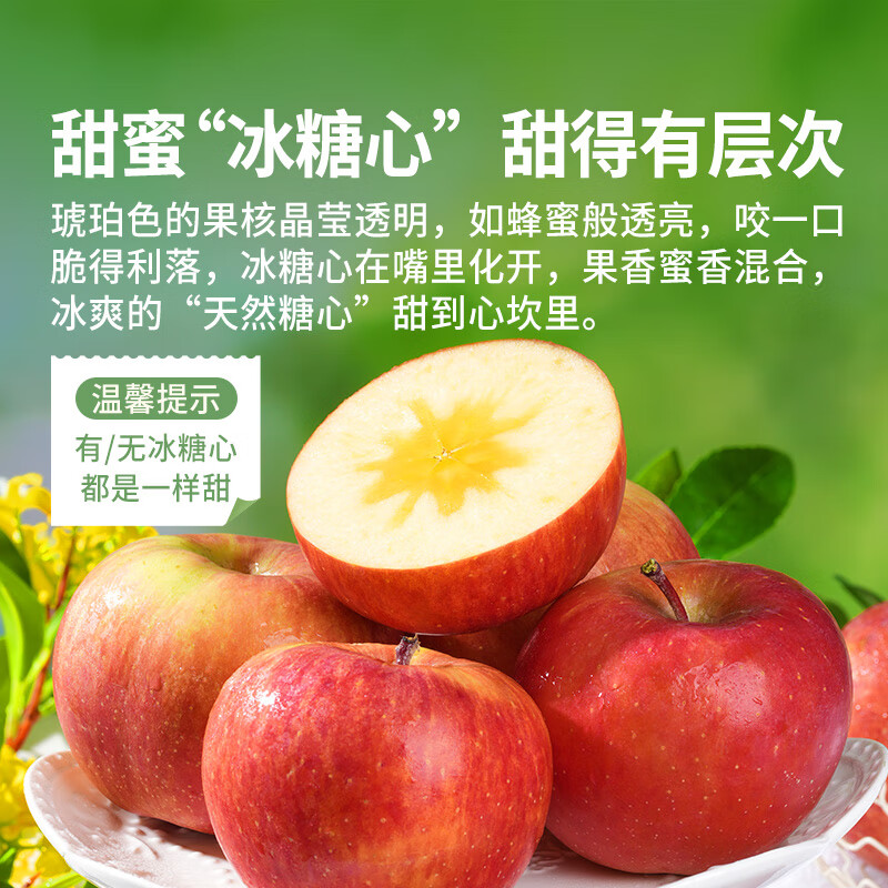 东方甄选新疆阿克苏苹果冰糖心脆甜爽口多汁新鲜应季水果坏果包赔过年年货 【5斤装中果】约10-13个 单果190g+
