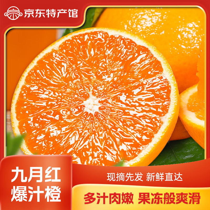 宜昌九月红橙秭归脐橙现摘新鲜时令水果多汁柑橘桔子果冻年货礼盒 4.5斤小果【单果60-70MM】