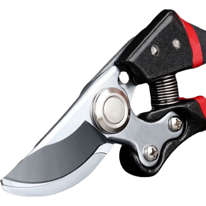 ���������򡿲������֦���ּ�������֦������֦��������԰��ר�� ������Ʒ-10������+����ʿ��