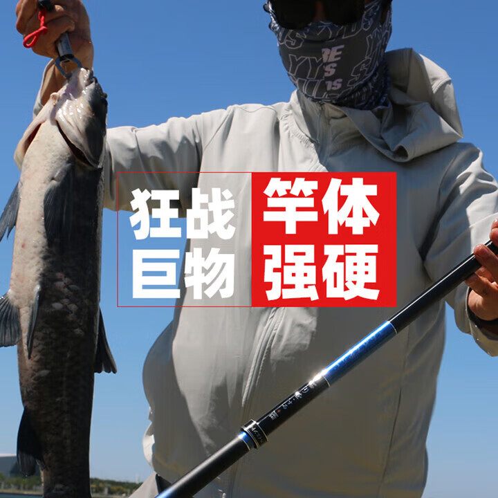 达瓦岵珑日本进口碳素钓鱼竿手竿超轻超硬19调十大台钓竿轻量鲢鳙大物竿 8.1m 【超硬6H19调】+礼包+原装竿稍