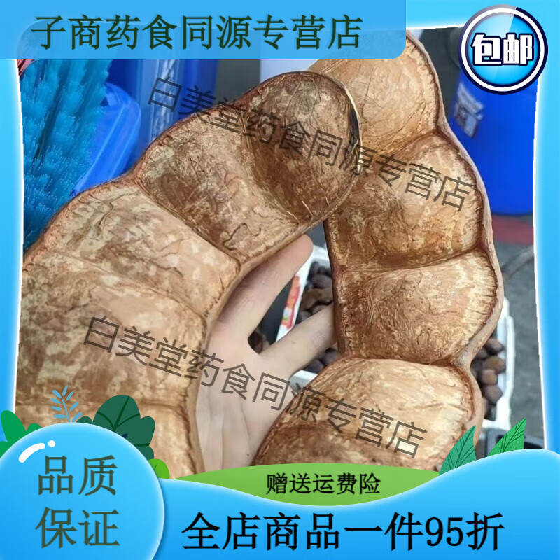 云南野生摆件平安豆 霸王豆豆荚装饰特色不可思议的果 大根8