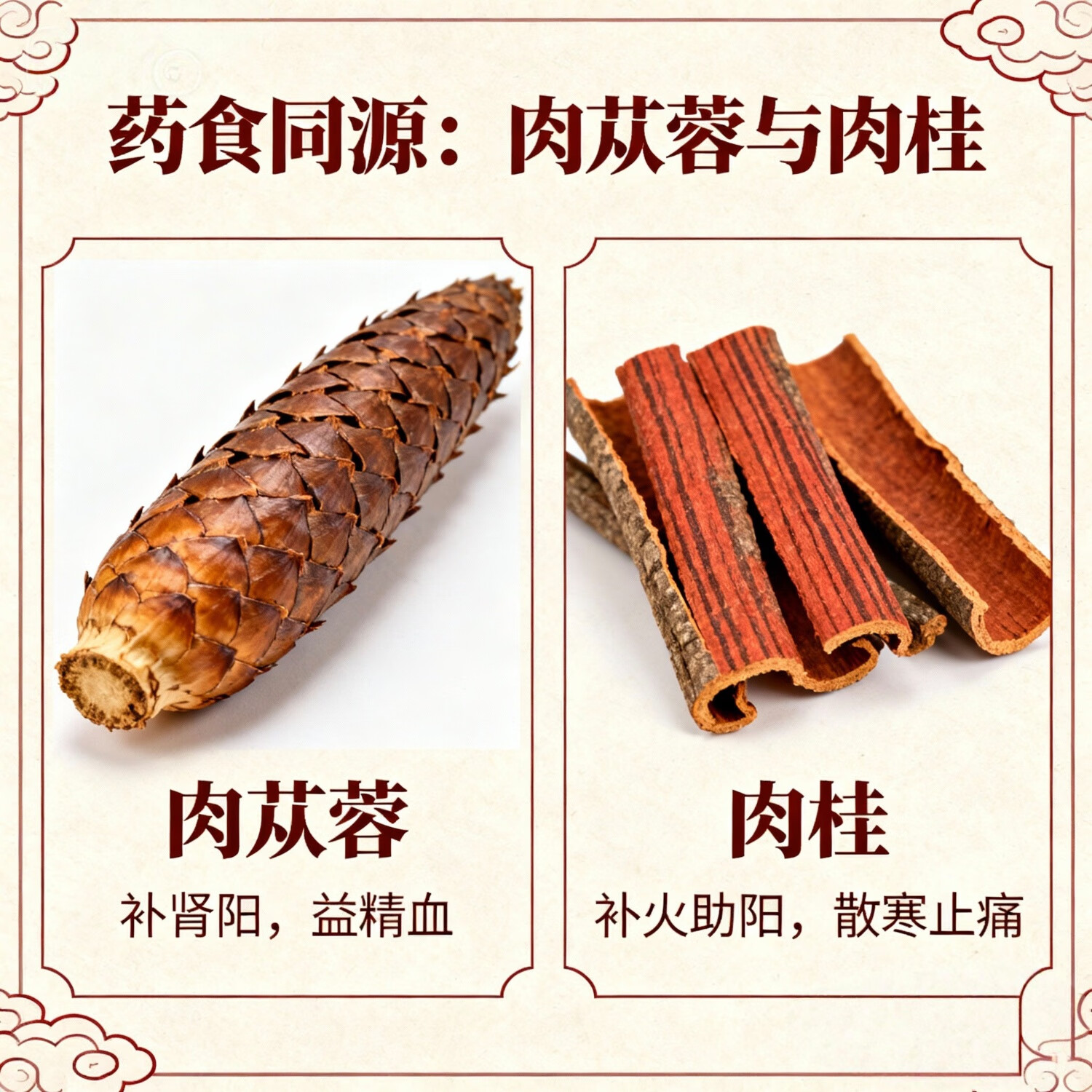 玖璐本草小试尝鲜四神汤肉苁蓉肉桂黄精枸杞暖身养护药食同源古法熬制膏滋