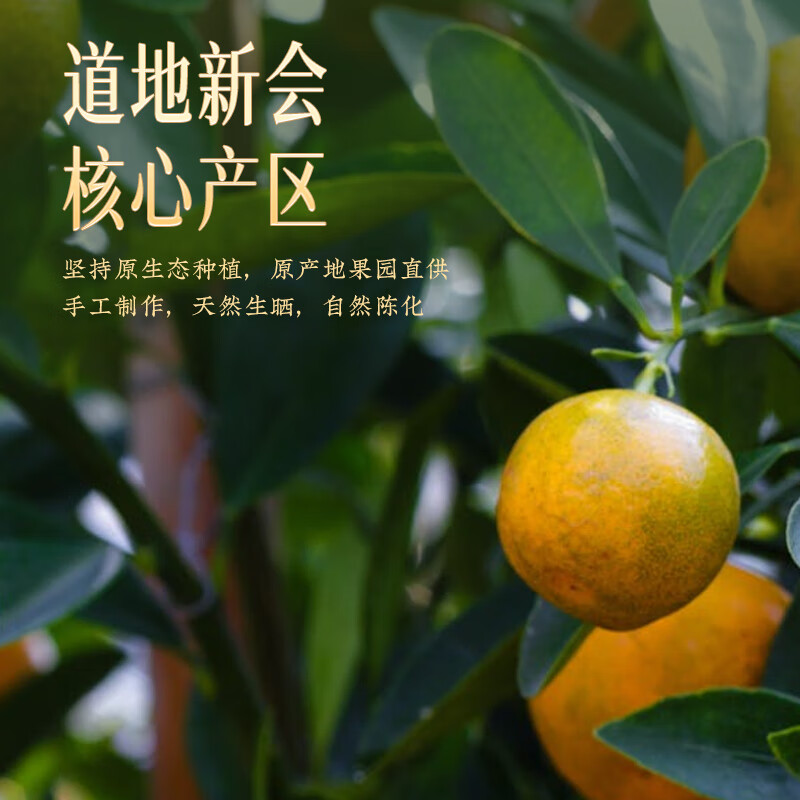 胡庆余堂正宗新会产老陈皮100g古韵礼盒2017年份广东江门新年礼物年货 2017年陈皮 100g*1盒