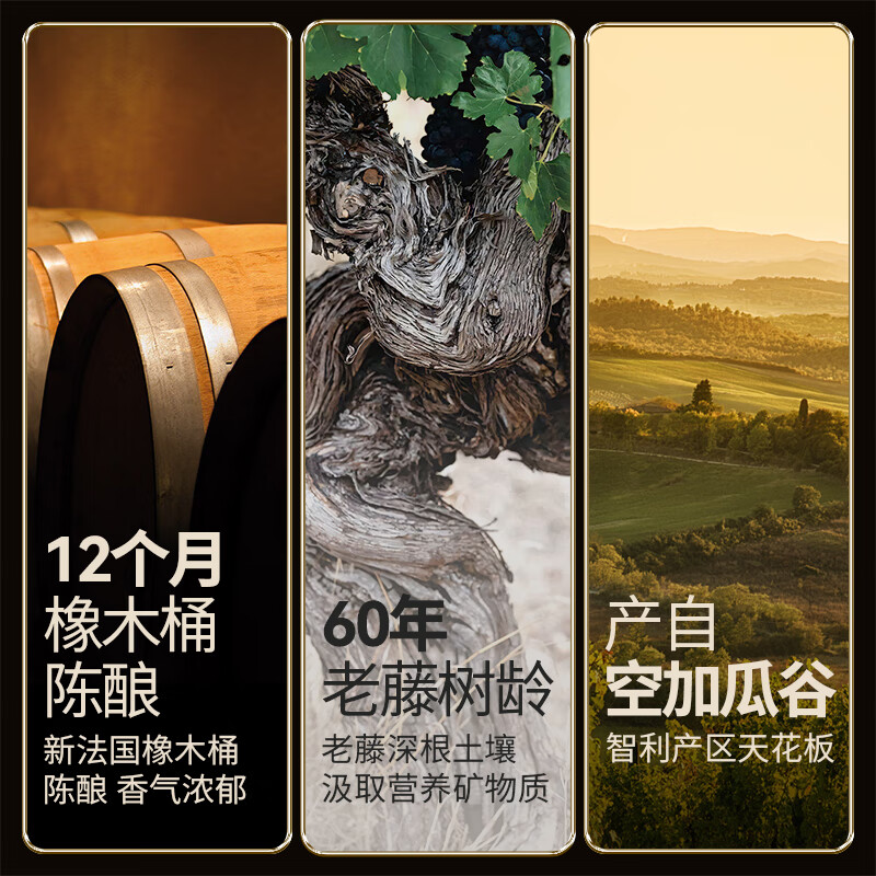 傲鱼[顺丰]跃黑金R6珍藏智利原瓶进口红葡萄酒14度西拉酿造187.5m*6瓶 187.5ml*6瓶