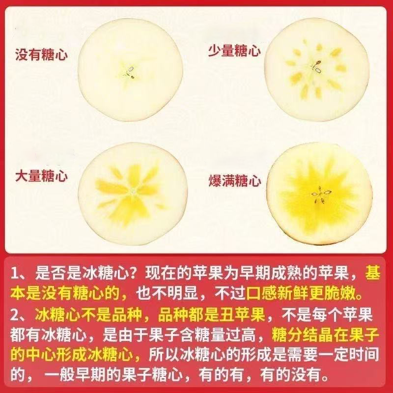 绿熊庄园正宗天然冰糖心山西丑苹果新鲜现摘脆甜多汁应季水果 送礼推荐 【回购爆款红富士】 单果75mm+ 净重8.5-9.5斤