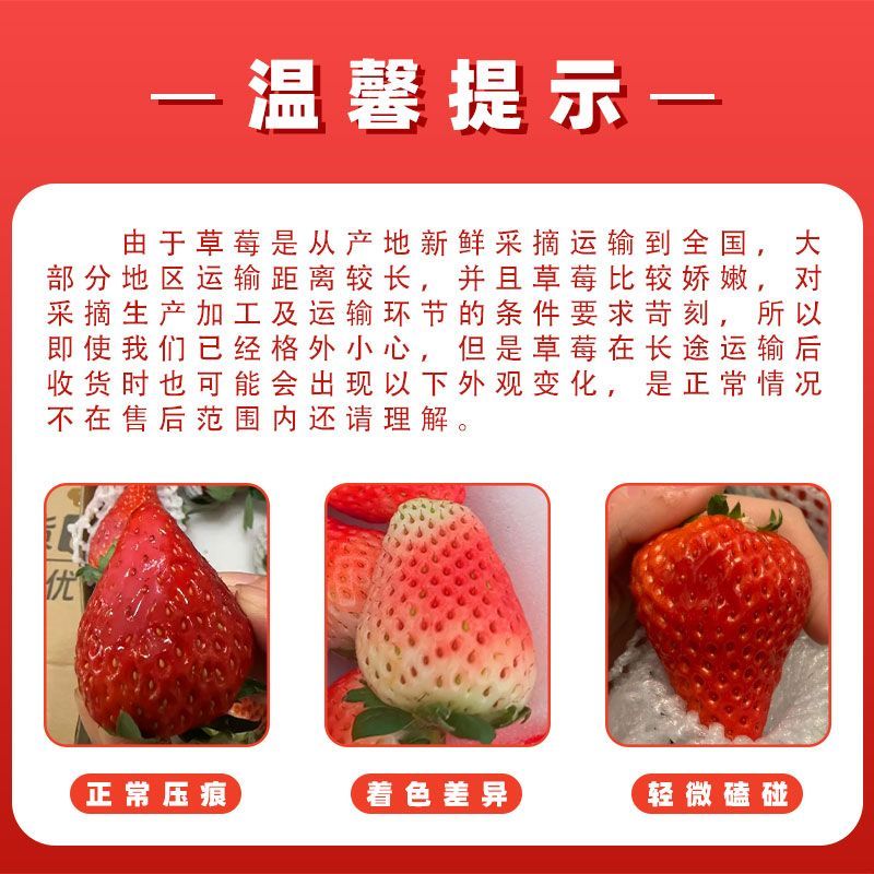 中果农茂丹东草莓【JD/顺丰-多地次日达】新鲜现摘草莓99红颜奶油大草莓 2斤装-【单果10-15g】净重1.8斤-京东快递