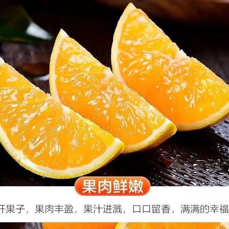 源惠鲜礼正宗江西赣南脐橙当季精选新鲜橙子赣州现摘多汁水果孕妇整箱包邮 赣南脐橙净重5斤小果【60-65mm】