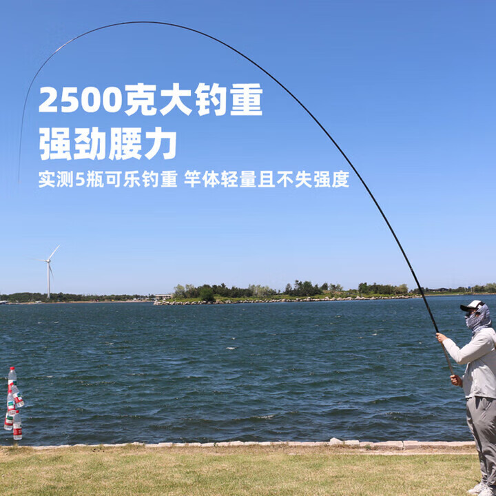 达瓦岵珑日本进口碳素钓鱼竿手竿超轻超硬19调十大台钓竿轻量鲢鳙大物竿 8.1m 【超硬6H19调】+礼包+原装竿稍