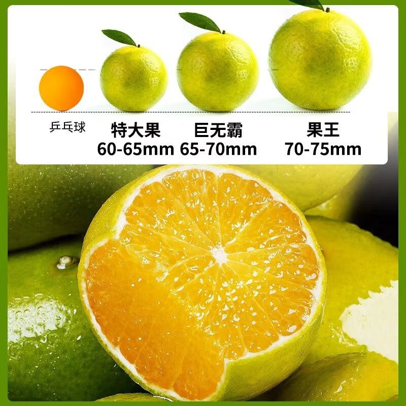 广西应季皇帝柑净重3斤