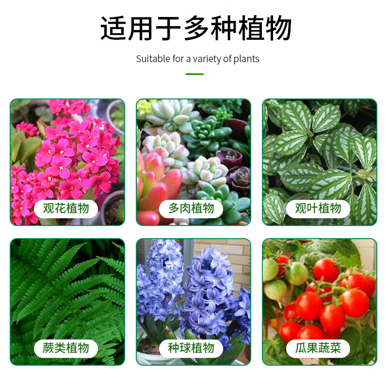 花大师免稀释植物营养液通用型绿植发财树绿萝花卉水培富贵竹专用叶面肥 【花友推荐】免稀释营养液+通用花肥