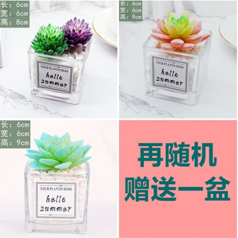 OYKTNins仿真多肉仙人掌创意盆栽摆设装饰品绿植假花办公室桌面小摆件 省钱组合三共4盆