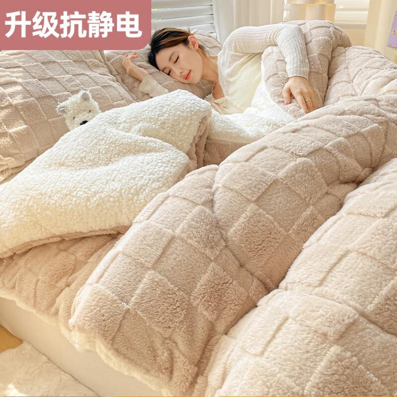 高睿羊羔绒被子被芯冬天棉被双人冬季宿舍单人学生牛奶绒秋冬被厚保暖 奶茶色【A类母婴可用】无需被套 200*230cm【10斤特厚冬被】