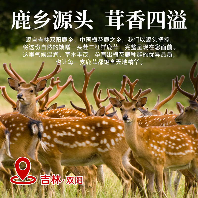 敖东 梅花鹿鲜鹿茸段100克新鲜带血煲汤泡酒男性养生滋补品顺丰包邮
