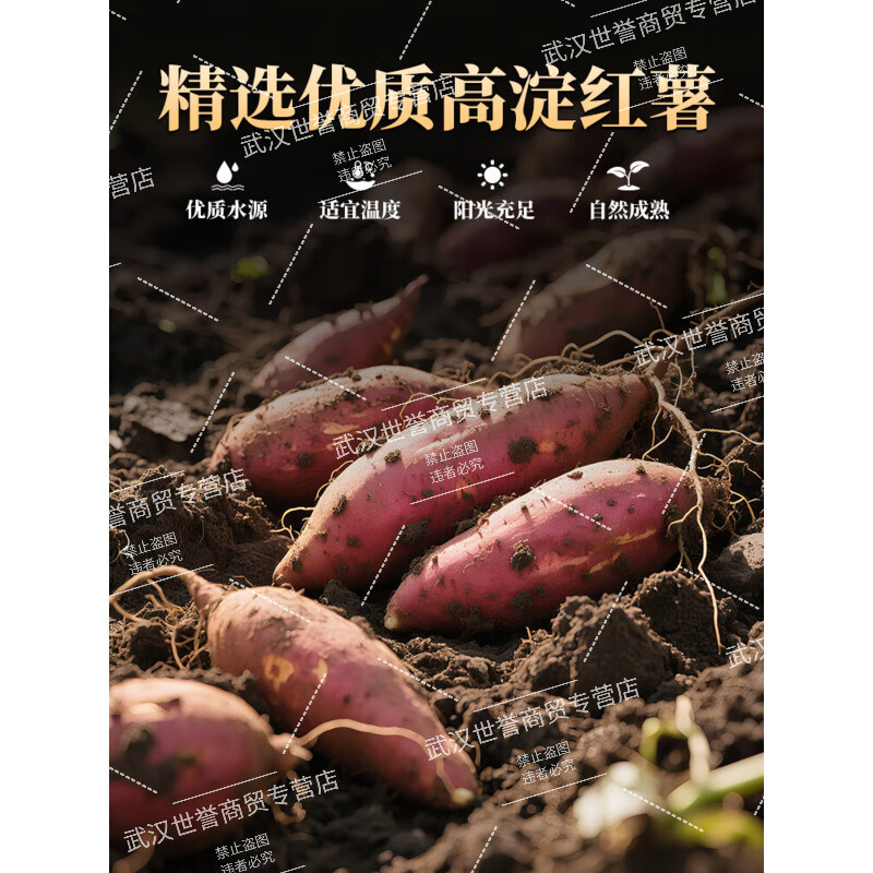 信盛堂東方甄选同款【粉条纯红薯粉5斤】纯正宗圆粉纯手工无添加酸辣粉 【100%纯红薯】圆粉2斤 东方甄选官方旗舰店同款东自旗舰營