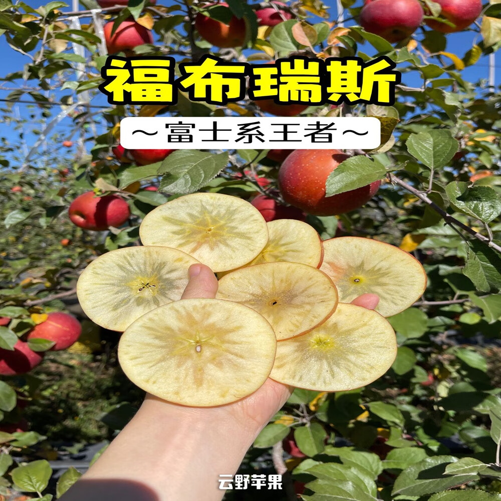 【顺丰包邮】云南樱桃小苹果脆甜可口高原冰糖心净重3斤礼盒装 净果3斤，单果60-70mm