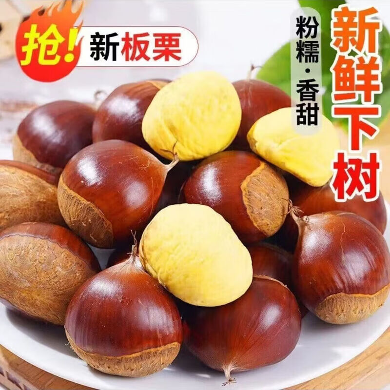 抢【到手五斤】当季新货新鲜栗子农家毛栗子板栗带壳新鲜板栗JX 【加量不加价-98%用户推荐】新鲜生板栗 5斤