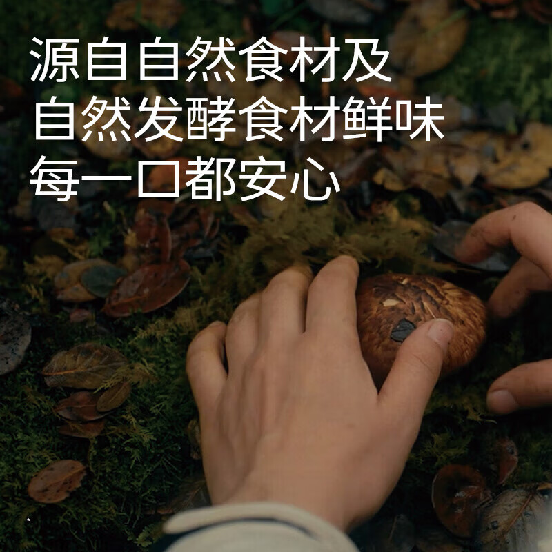 松鲜鲜松茸鲜调味料代替鸡精盐菌菇鲜调料宝宝可用炒菜炖鸡汤煲汤调味 90g*1瓶 松茸调味料袋装