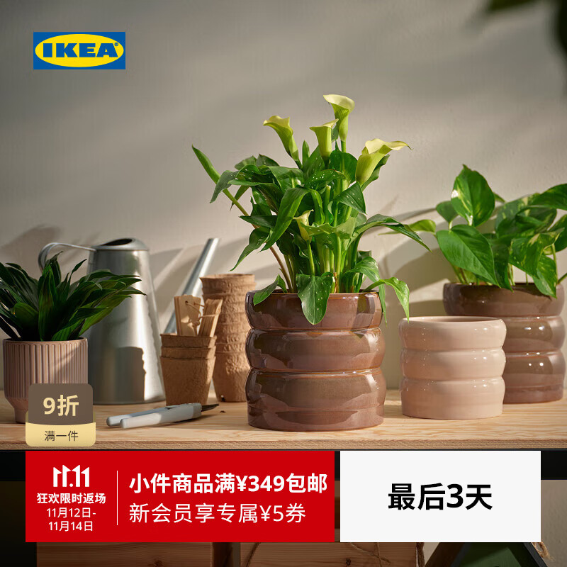 宜家（IKEA）HASSELBUKETT哈瑟布凯装饰花盆多肉盆景装饰绿萝盆 装饰用花盆黄褐色12cm