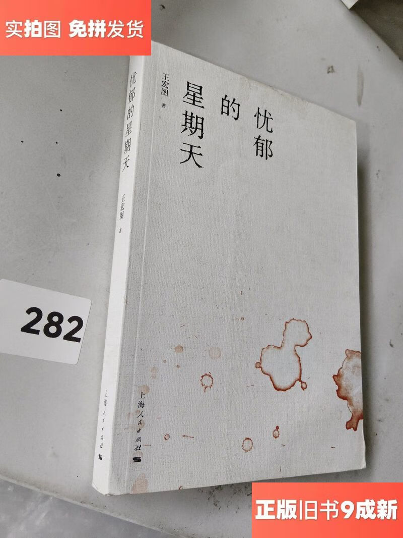 忧郁的星期天/王宏图