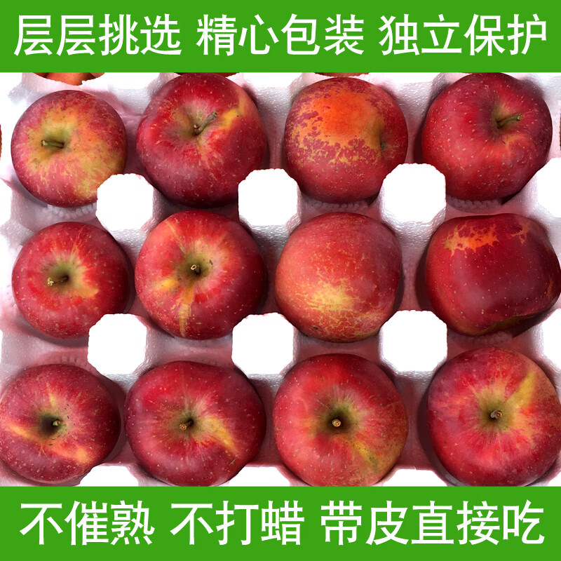 朵芮蜜正宗25年新果云南昭通冰糖心丑苹果当季水果现摘脆甜野生富士苹果 净重4.5斤80-85mm