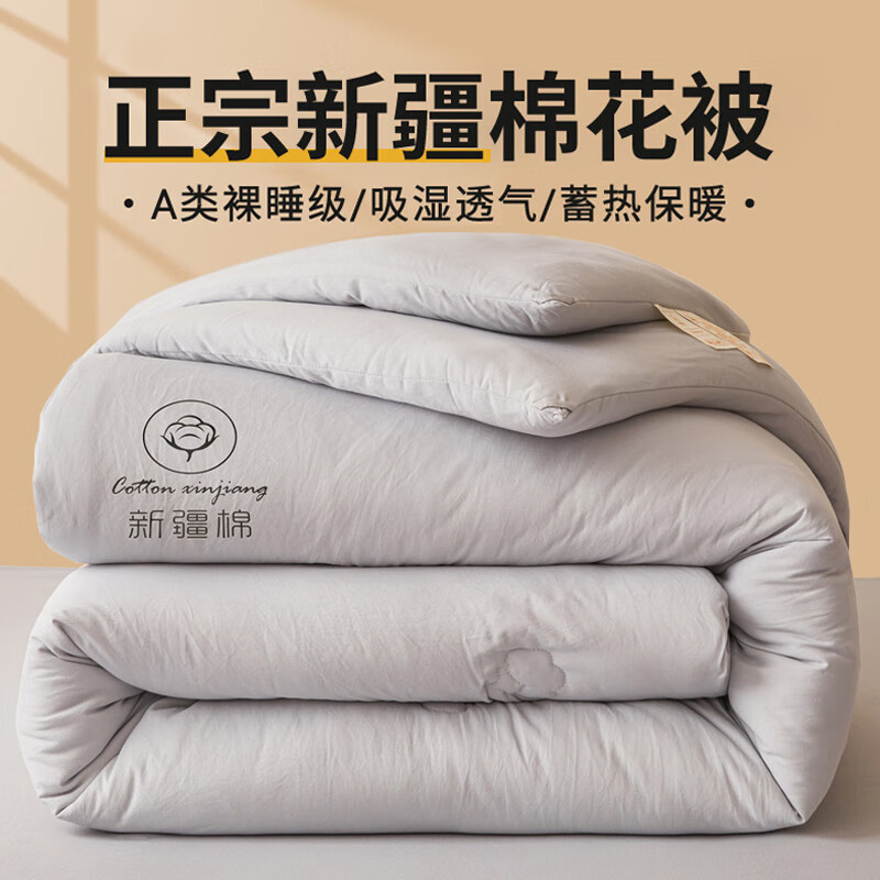 VJEA类新疆棉花被子冬季纯棉花被芯加厚学生单人双人家用宿舍冬被褥 浅灰【A+无异味 可裸睡】 150x200cm约6斤【冬被】