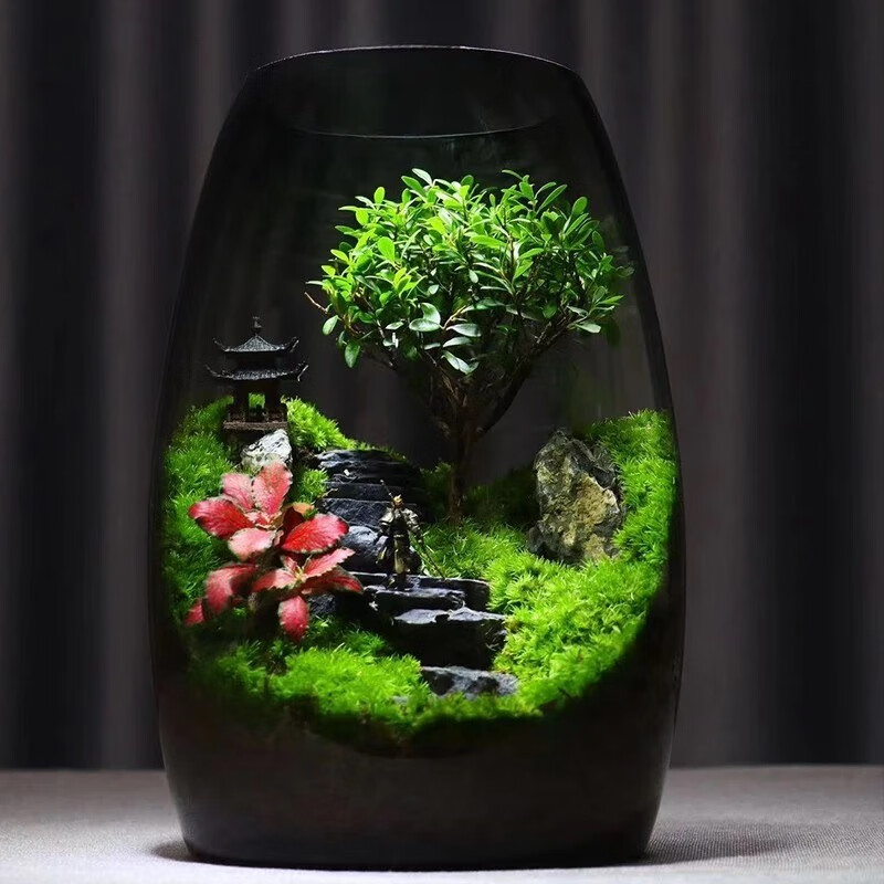 封茗【生命之树】生态瓶苔藓微景观青苔造景缸植物办公室绿植桌面盆栽 步步高升(悟空版)单景观