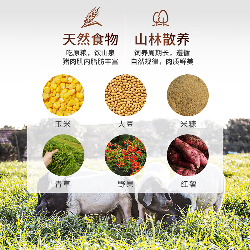 嘉平月两头乌跑山猪新鲜黑猪肉生鲜农家散养土猪里脊前后腿肉包饺子肉馅 前腿1600g【爆炒回锅肉】