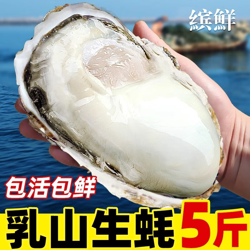缤鲜 特大现捕乳山生蚝鲜活海蛎子净5斤带箱海鲜超大牡蛎贝壳即食水产 6XL【约4-7只】