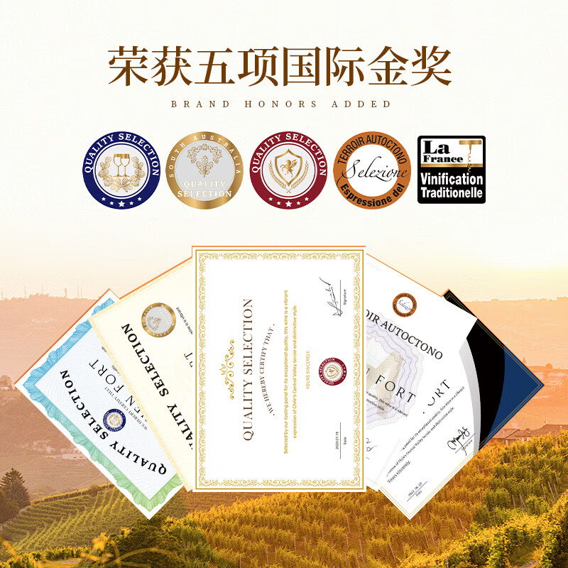 赫图令（HERTDIIG）【国际三项金奖】智利原瓶进口红酒干红葡萄酒整箱送礼盒装 【获国际五项金奖】1箱6瓶