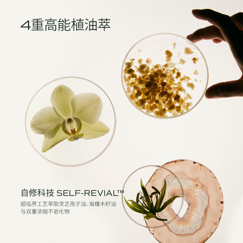 蘭（LAN）兰时光油3.0气泡油抗皱保湿修护焕亮面部精华油以油养肤 女生礼物 时光油15ml+气泡油15ml