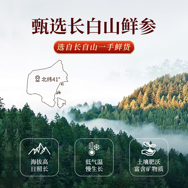 栖原丛长白山人参整支全须生晒参煲汤泡酒滋补养生送长辈礼盒东北特产 【礼盒装】大参共15支 50g*3盒 (优选)