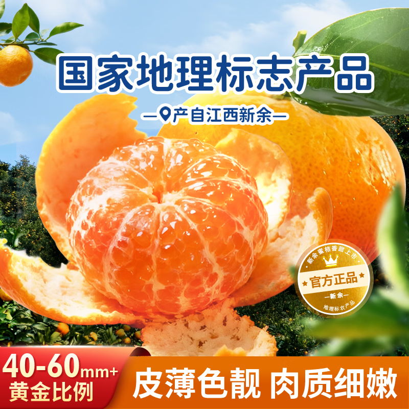 新余蜜桔分享送礼 新鲜蜜橘 橘子桔子水果酸甜多汁 生鲜蜜桔 果园顺丰直发 5斤装(净重4.5斤)【80%选择】 50-60mm大果