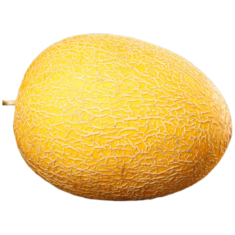 京鲜生 海南黄金哈密瓜  净重4.5-5斤2粒装 源头直发包邮