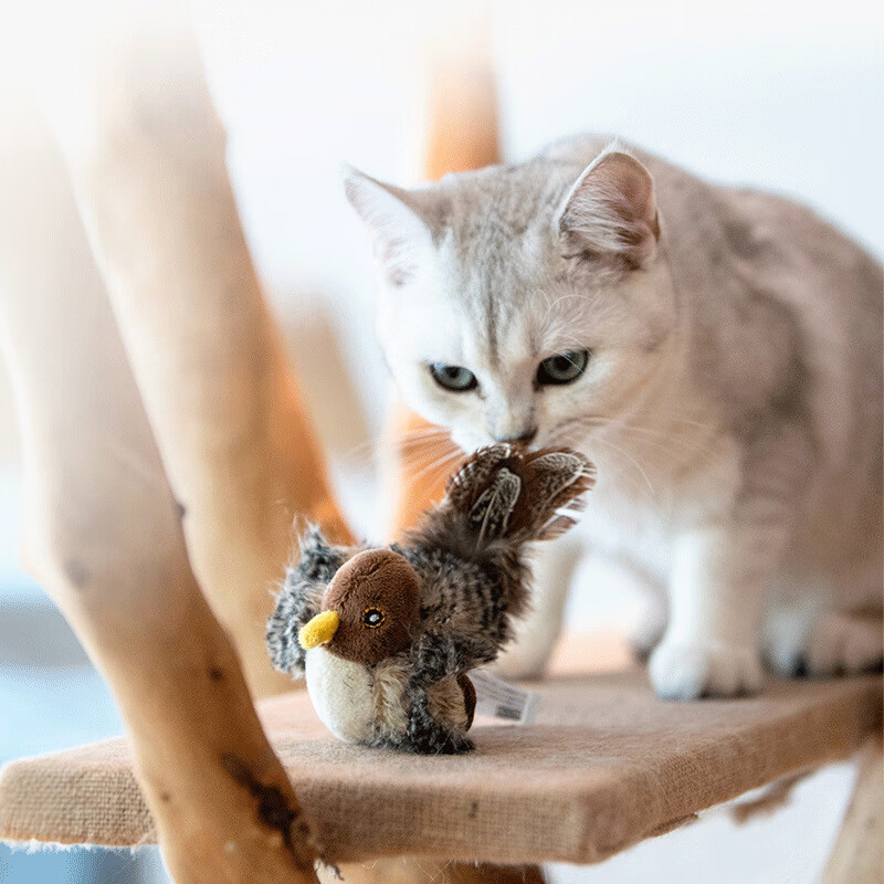 贵为（GiGwi）Gwi猫玩具小老鼠发声小鸟蜜蜂逗猫咪解闷宠物用品炫 云雀触碰发声