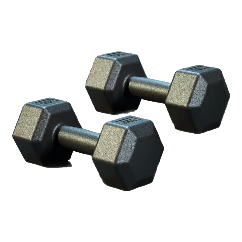 哑铃男士健身家用宿舍力量器材男士女士壶铃杠铃六角健身器械 10公斤1对 （5kgX2只）