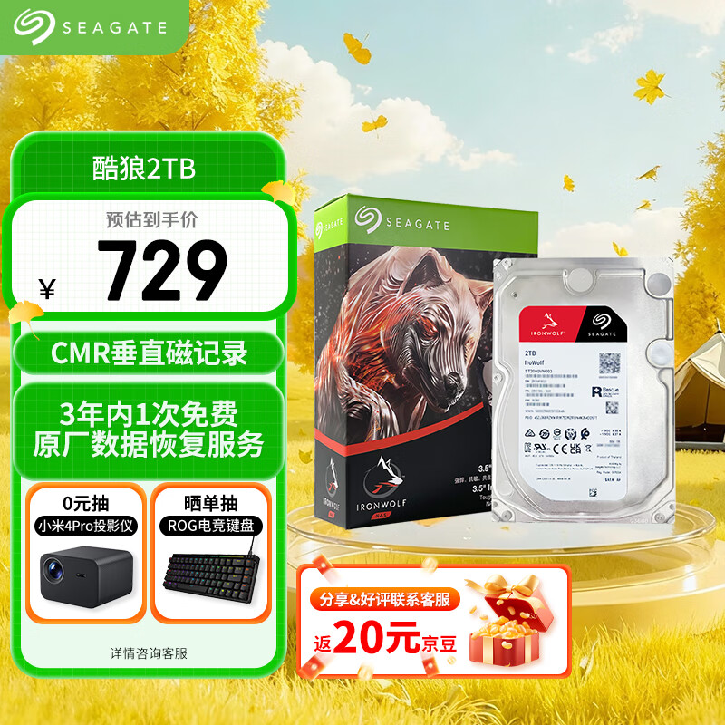 希捷（SEAGATE）NAS硬盘 2TB 256MB 机械硬盘 CMR垂直 静音低耗 数据恢复服务 3.5英寸 希捷酷狼 ST2000VN003