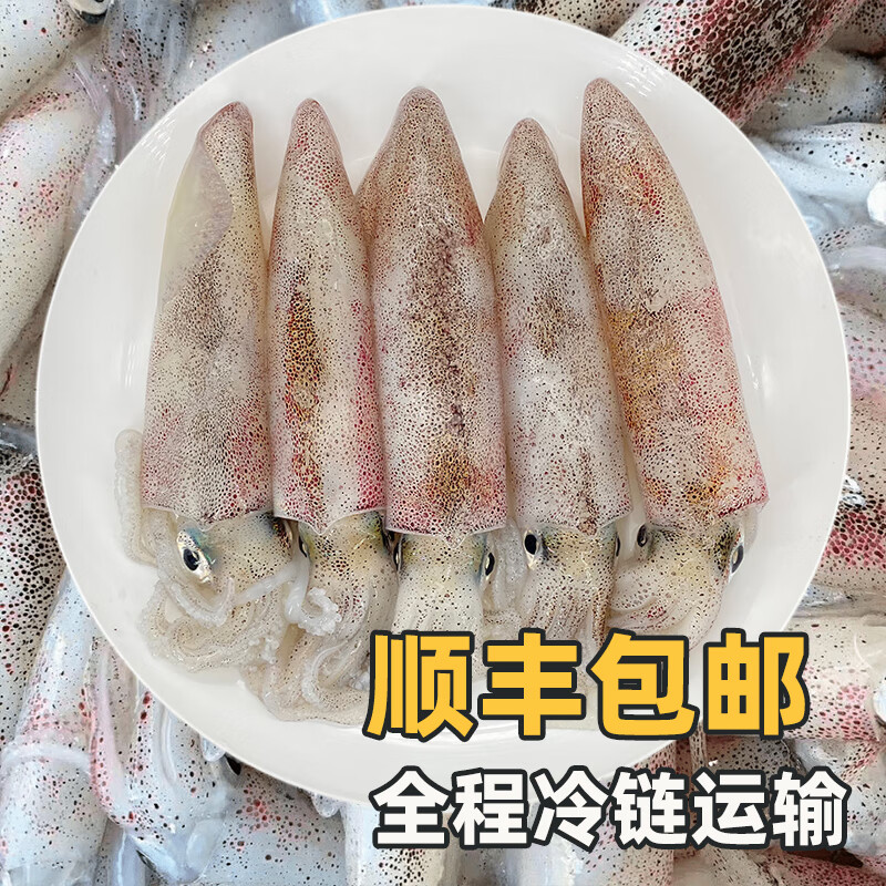 桂之海 桂(GUIZHIHAI)活冻北海鱿鱼新鲜冷冻海鲜白灼芥末烧烤火锅鲜活冰鲜大尤鱼 400g/3盒【16-20条/包,活冻鱿】共2.4斤