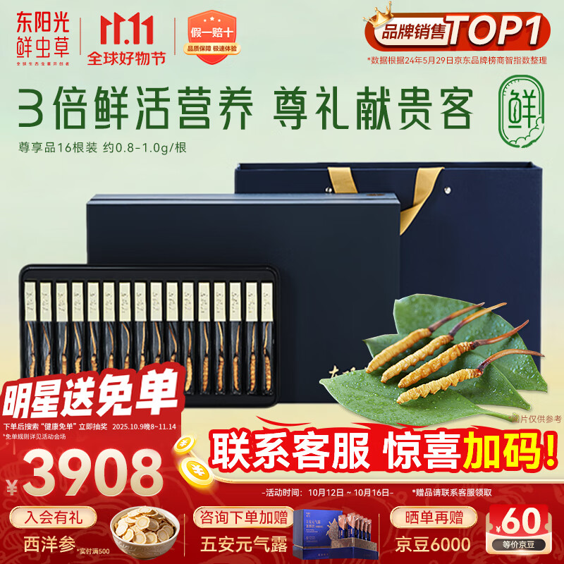 东阳光鲜虫草0.8-1g/根16根新鲜冬虫夏草补品送长辈老人源头直发包邮