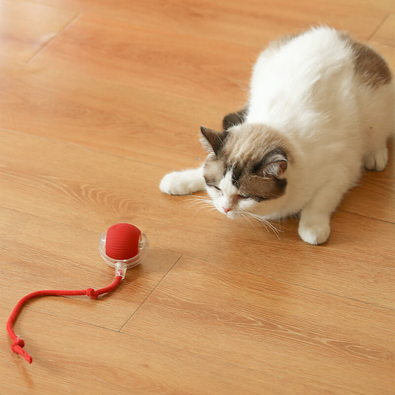 自动逗猫球自嗨解闷智能电动老鼠尾巴逗猫棒消耗体力突突球猫玩具 红色长绳款，动力加强 速度可调节