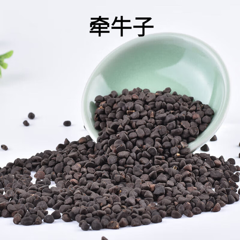 特级无硫黑丑 牵牛子中药材500g克黑牵牛籽 二丑另有白丑